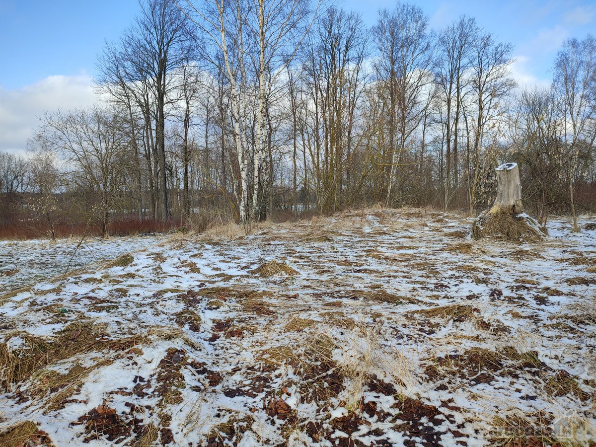 Parduodamas 30.75a namų valdos sklypas palei - nuotraukos Nr. 7