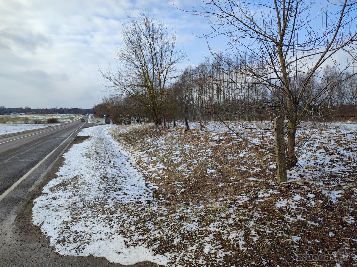 Parduodamas 30.75a namų valdos sklypas palei - nuotraukos Nr. 5