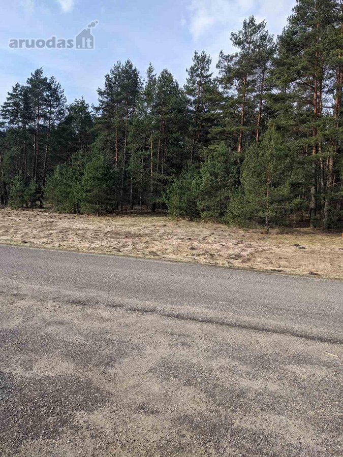 Parduodami du greta esantys sklypai (komplektas): - nuotraukos Nr. 5