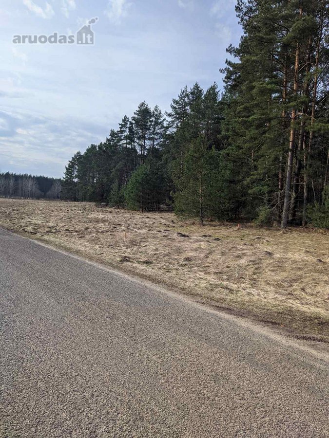 Parduodami du greta esantys sklypai (komplektas): - nuotraukos Nr. 6