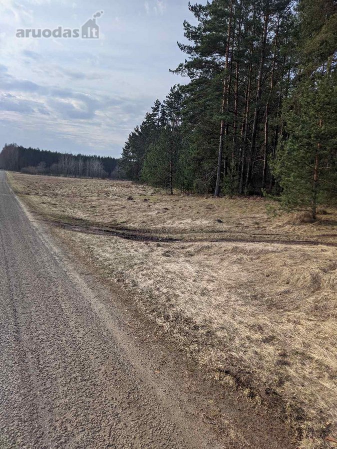 Parduodami du greta esantys sklypai (komplektas): - nuotraukos Nr. 8