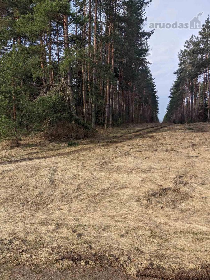 Parduodami du greta esantys sklypai (komplektas): - nuotraukos Nr. 9
