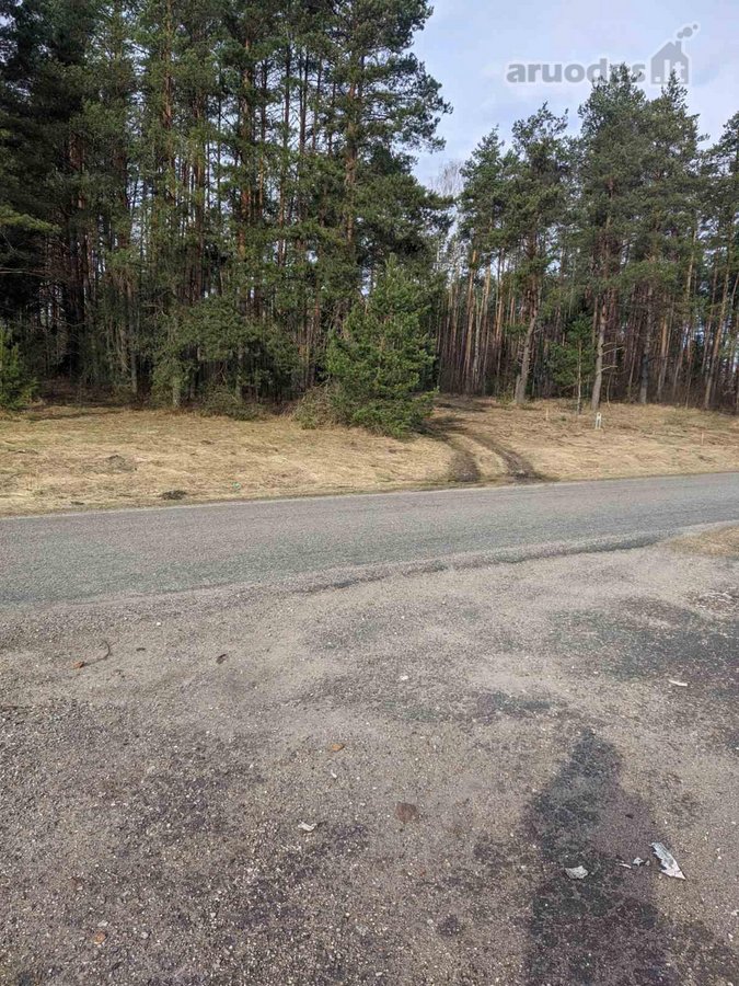 Parduodami du greta esantys sklypai (komplektas): - nuotraukos Nr. 10