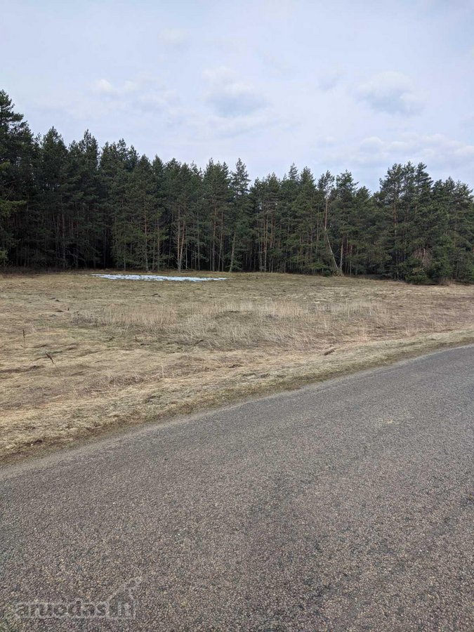 Parduodami du greta esantys sklypai (komplektas): - nuotraukos Nr. 11