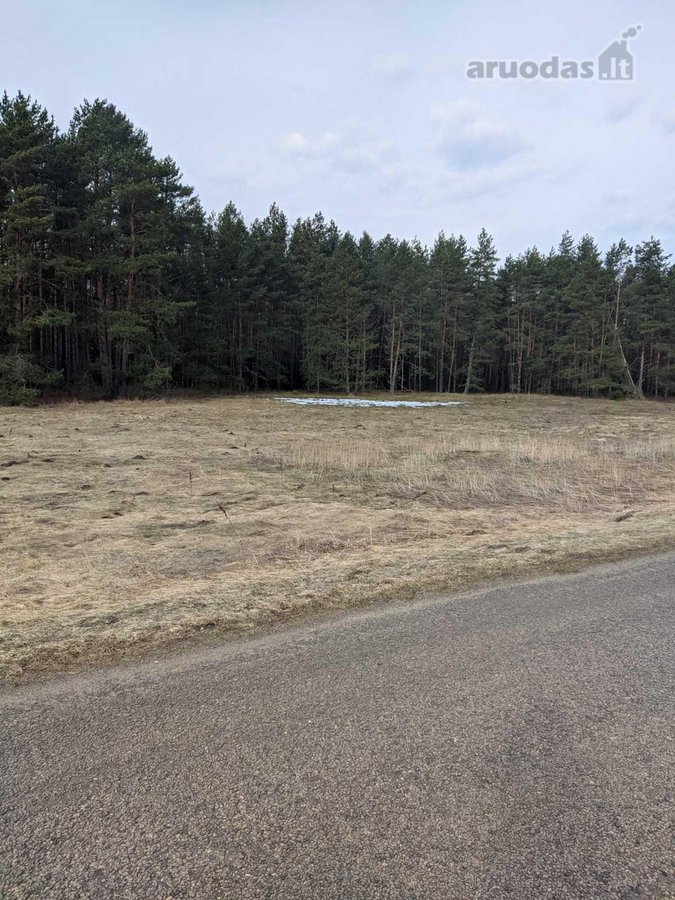 Parduodami du greta esantys sklypai (komplektas): - nuotraukos Nr. 13