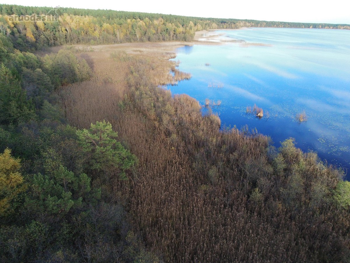 Parduodamas 275 arų sklypas su mišku, ir