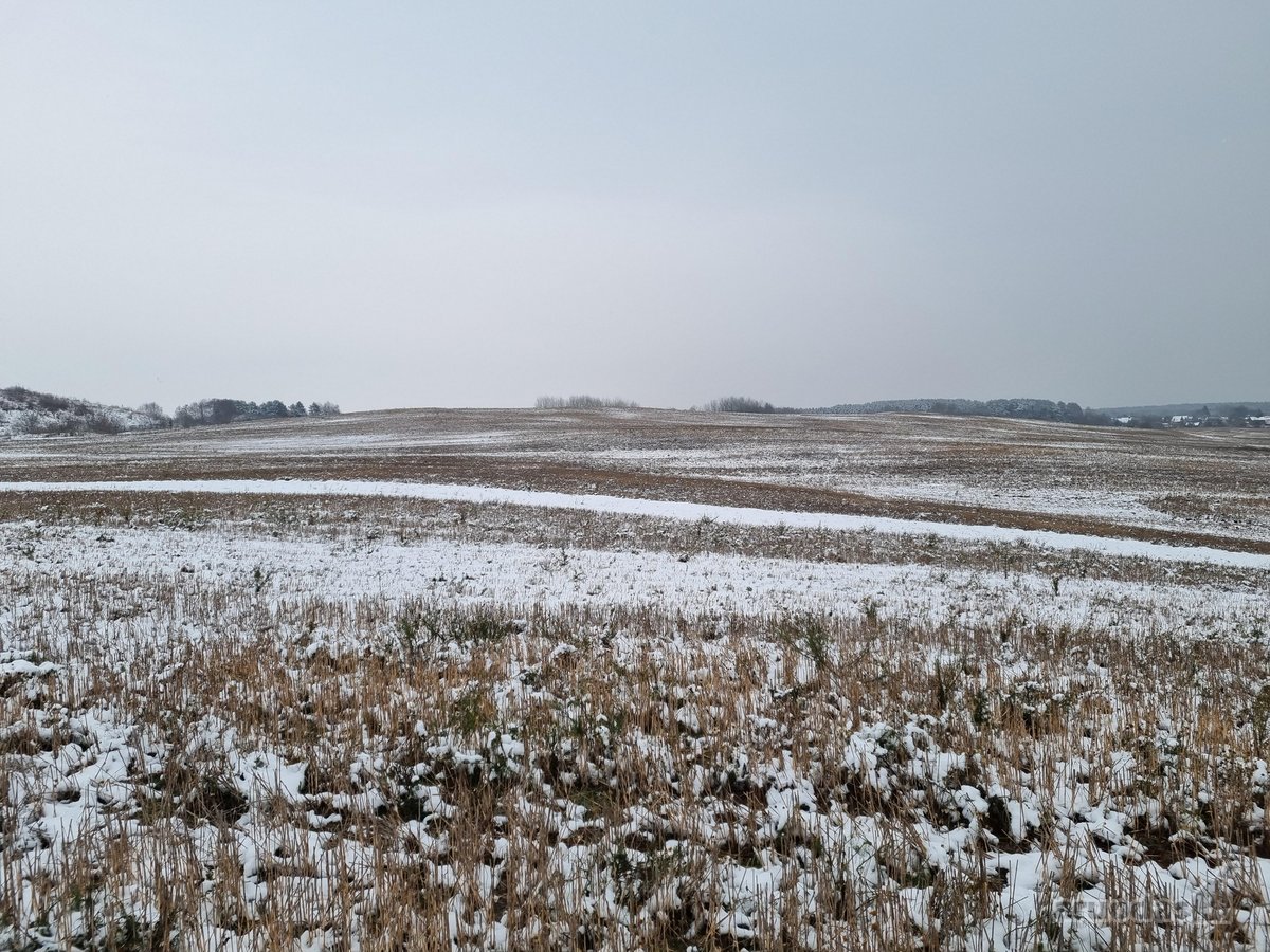 Parduodamas žemės ūkio paskirties sklypas - nuotraukos Nr. 2