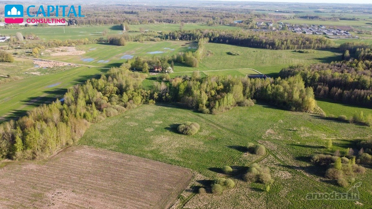 Parduodami Sklypai Jūsų Ūkiui Gamtos Ir Miško - nuotraukos Nr. 3