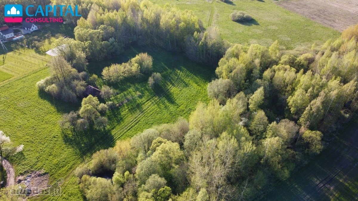 Parduodami Sklypai Jūsų Ūkiui Gamtos Ir Miško - nuotraukos Nr. 5