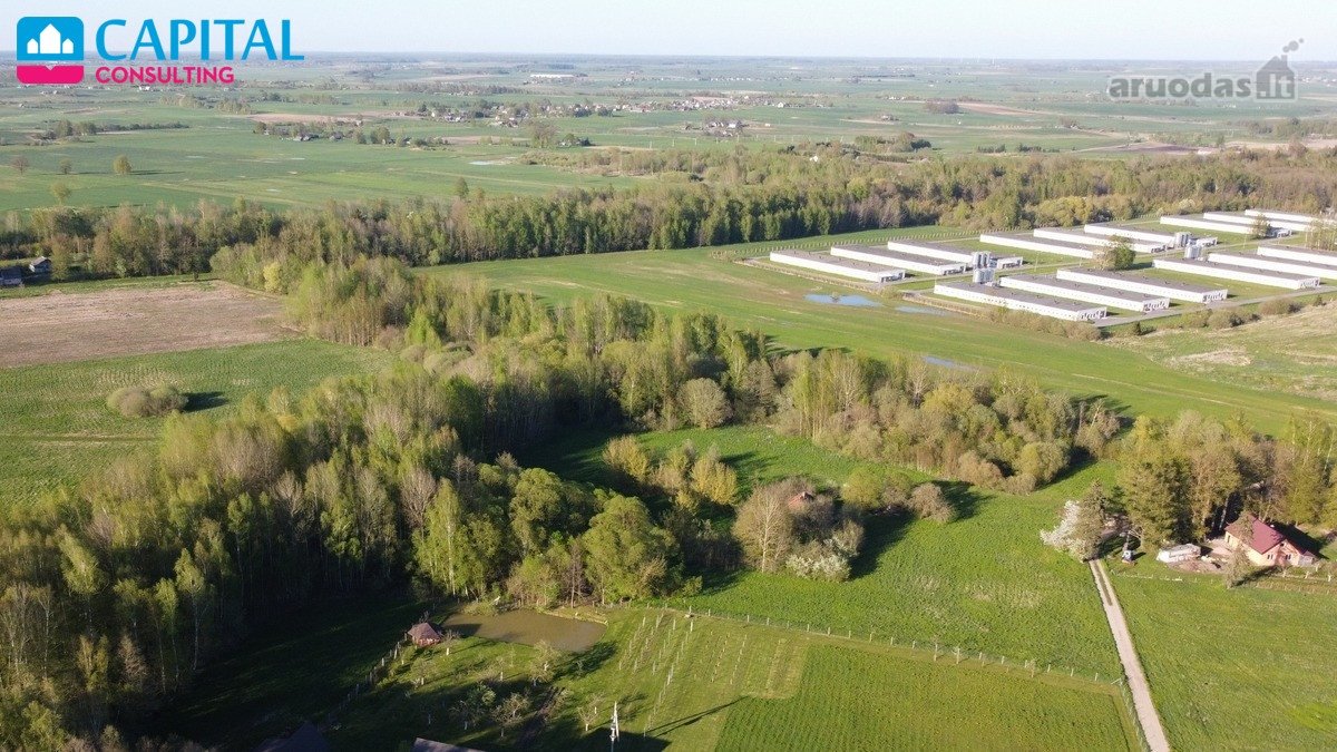 Parduodami Sklypai Jūsų Ūkiui Gamtos Ir Miško - nuotraukos Nr. 7
