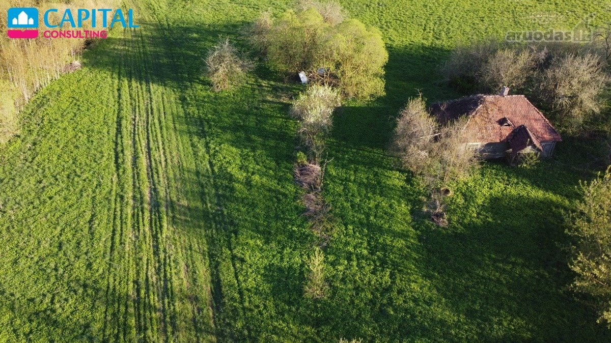 Parduodami Sklypai Jūsų Ūkiui Gamtos Ir Miško - nuotraukos Nr. 6