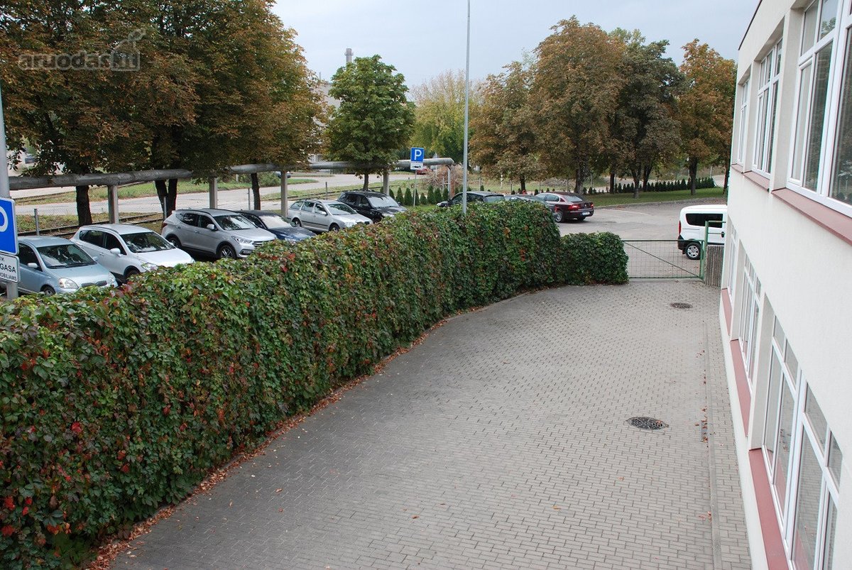 Nuomoju šviesų, suremontuotą biurą - nuotraukos Nr. 7