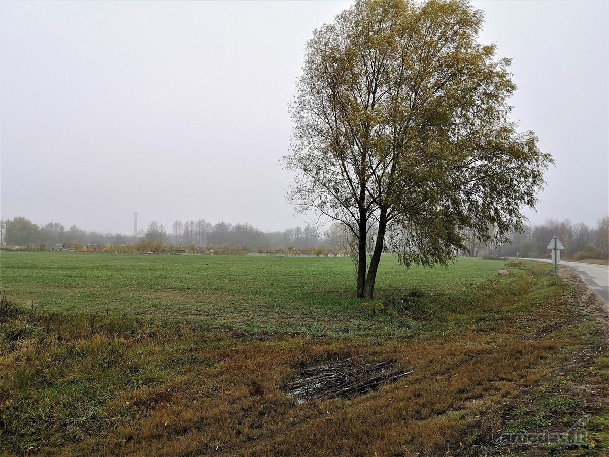 Parduodu 3,26 ha komercinės paskirties sklypą - nuotraukos Nr. 5