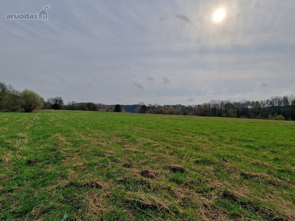 Druskininkų savivaldybėje Mizarų kaime - nuotraukos Nr. 8