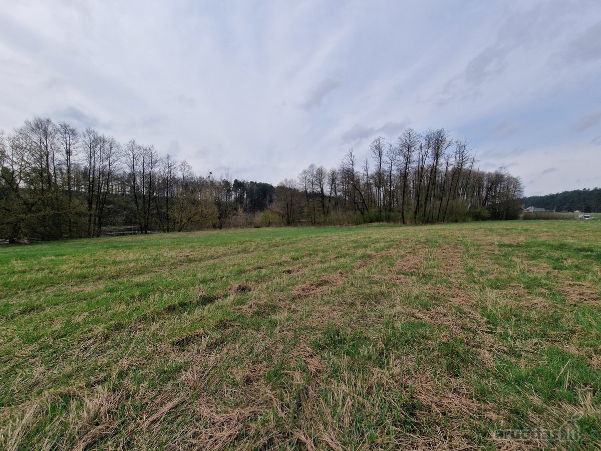 Druskininkų savivaldybėje Mizarų kaime - nuotraukos Nr. 11