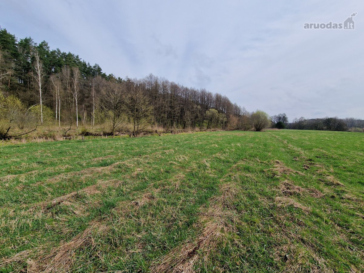 Druskininkų savivaldybėje Mizarų kaime - nuotraukos Nr. 18