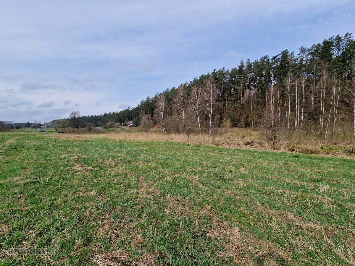 Druskininkų savivaldybėje Mizarų kaime - nuotraukos Nr. 20