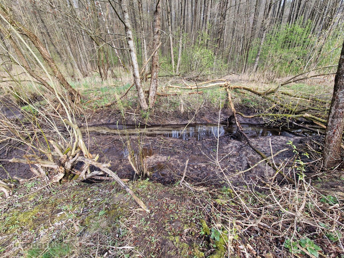 Druskininkų savivaldybėje Mizarų kaime - nuotraukos Nr. 21