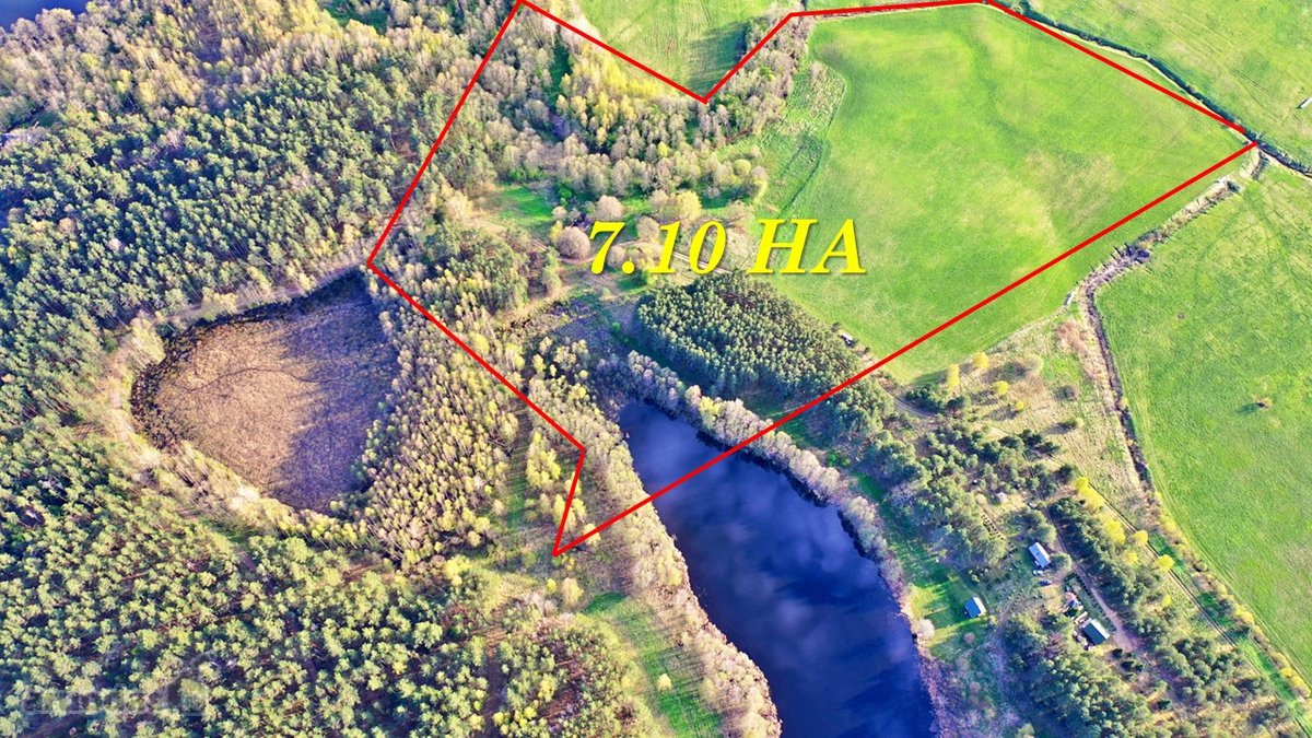 Parduodamas 7,10 Ha Žemės Sklypas Ignalinos - nuotraukos Nr. 12