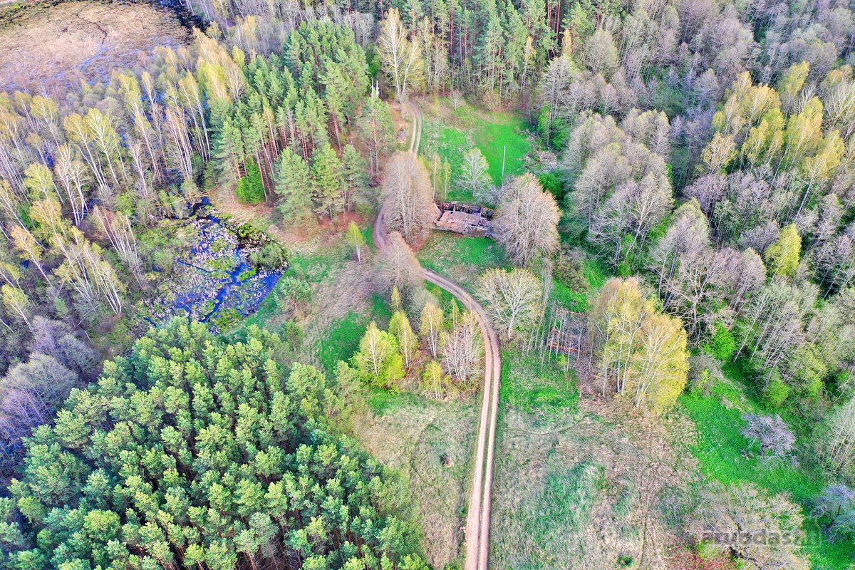 Parduodamas 7,10 Ha Žemės Sklypas Ignalinos - nuotraukos Nr. 15