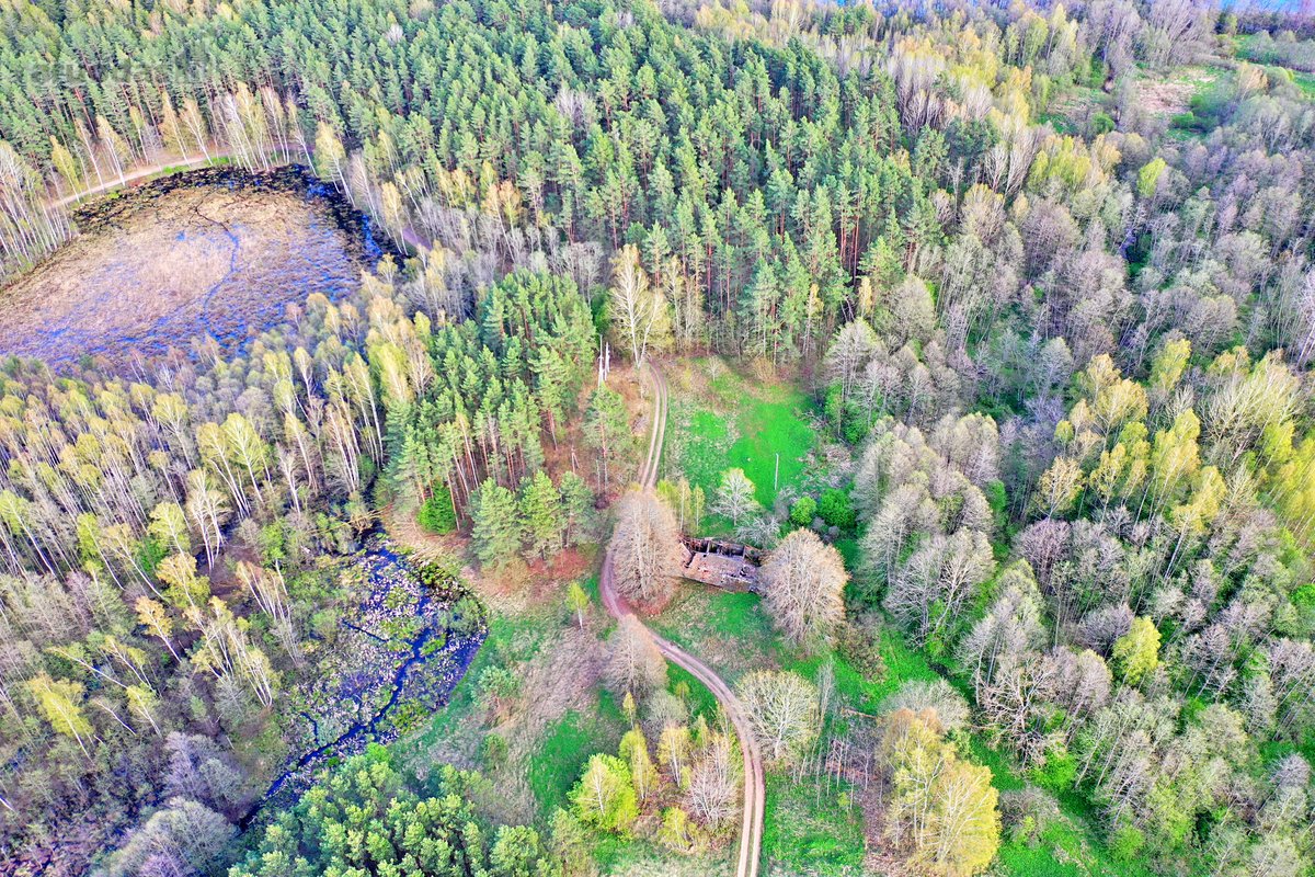 Parduodamas 7,10 Ha Žemės Sklypas Ignalinos - nuotraukos Nr. 16