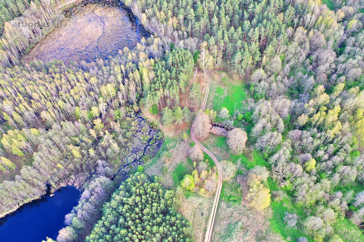 Parduodamas 7,10 Ha Žemės Sklypas Ignalinos - nuotraukos Nr. 17
