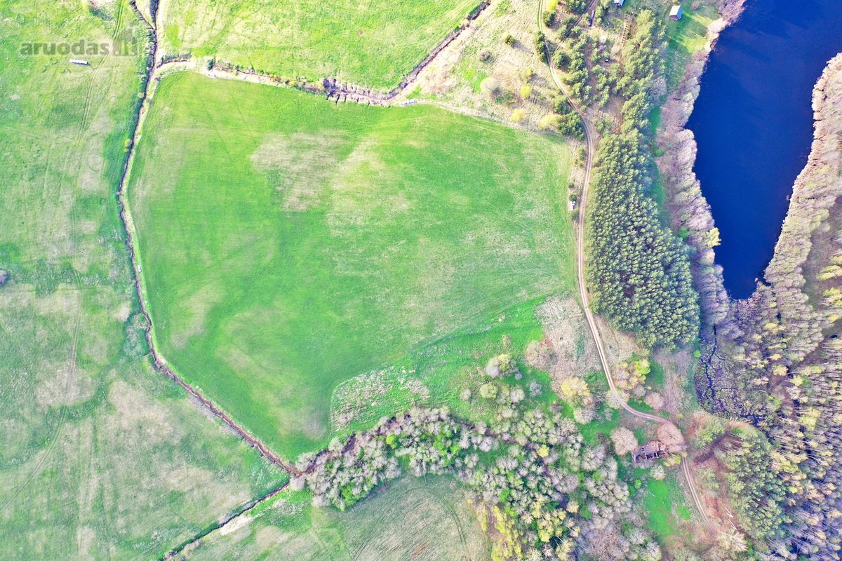 Parduodamas 7,10 Ha Žemės Sklypas Ignalinos - nuotraukos Nr. 19
