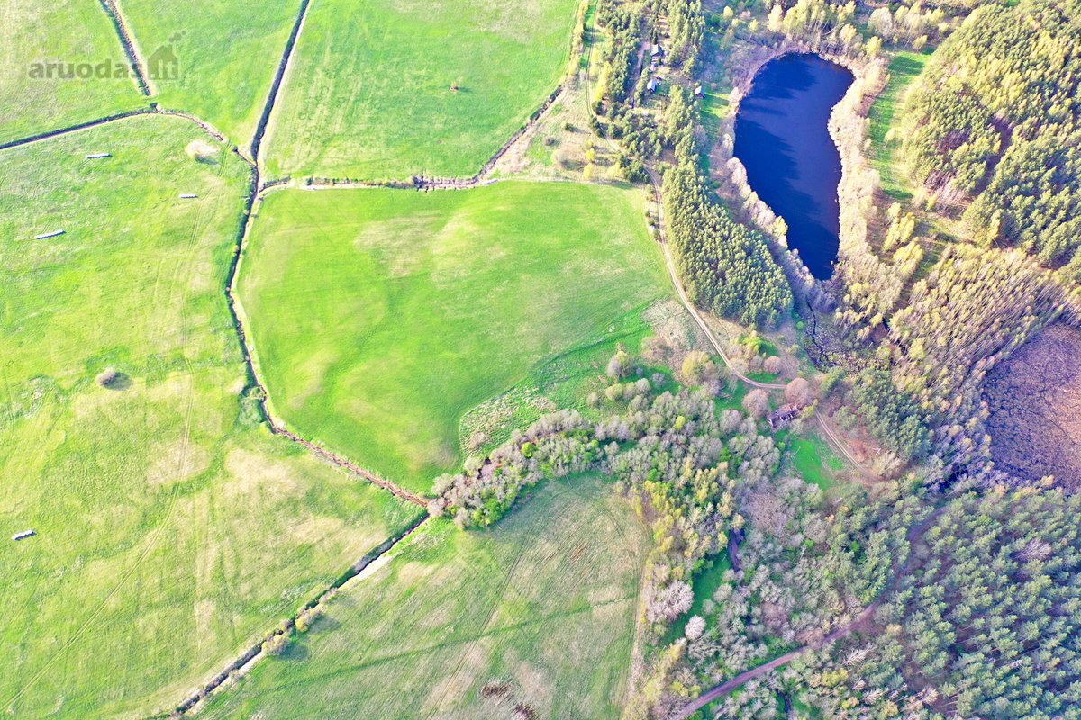 Parduodamas 7,10 Ha Žemės Sklypas Ignalinos - nuotraukos Nr. 20