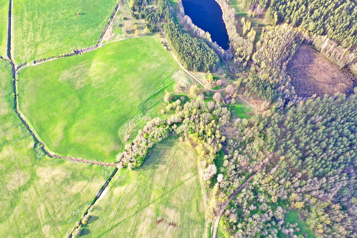 Parduodamas 7,10 Ha Žemės Sklypas Ignalinos - nuotraukos Nr. 21