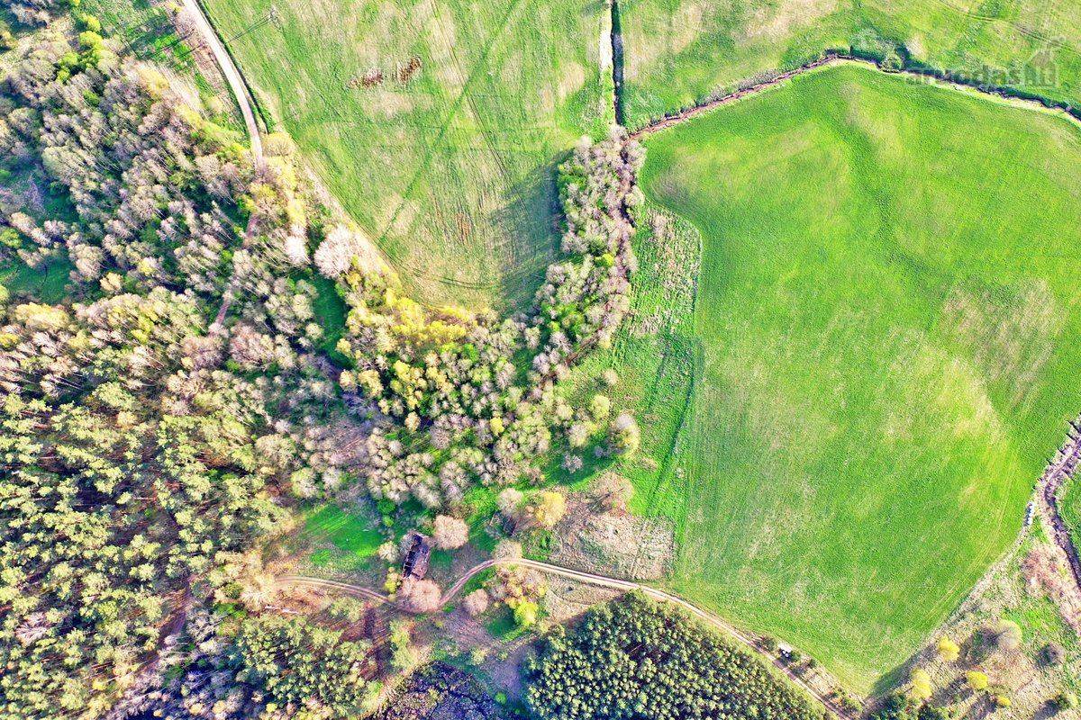 Parduodamas 7,10 Ha Žemės Sklypas Ignalinos - nuotraukos Nr. 22