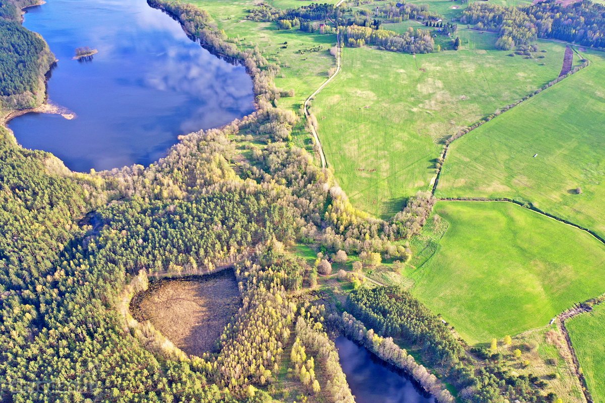 Parduodamas 7,10 Ha Žemės Sklypas Ignalinos - nuotraukos Nr. 13
