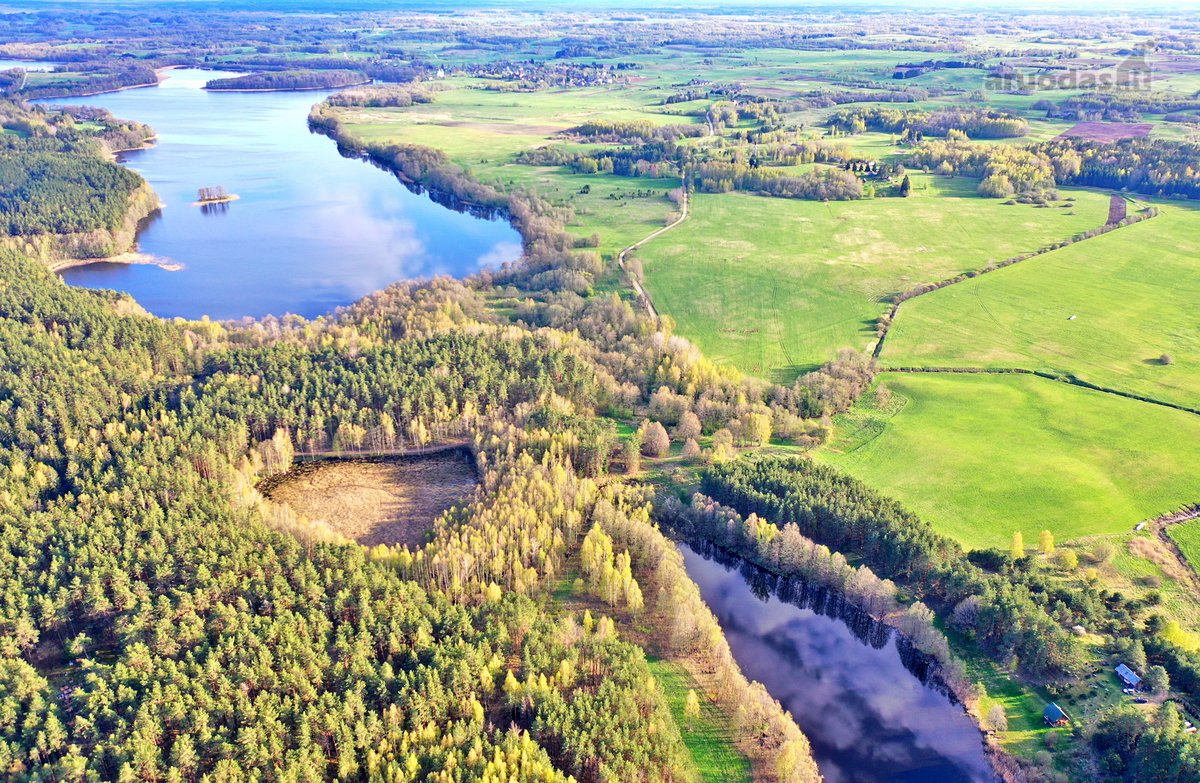 Parduodamas 7,10 Ha Žemės Sklypas Ignalinos - nuotraukos Nr. 3