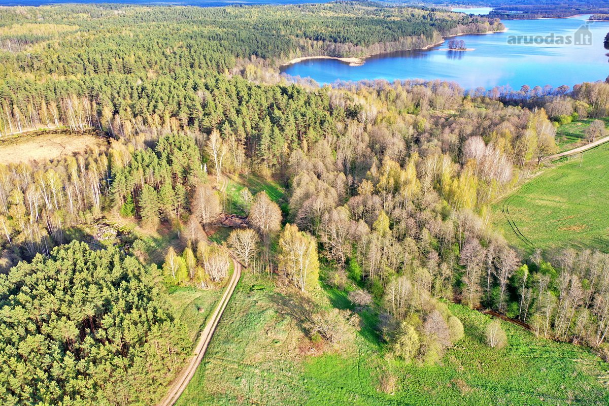 Parduodamas 7,10 Ha Žemės Sklypas Ignalinos - nuotraukos Nr. 23