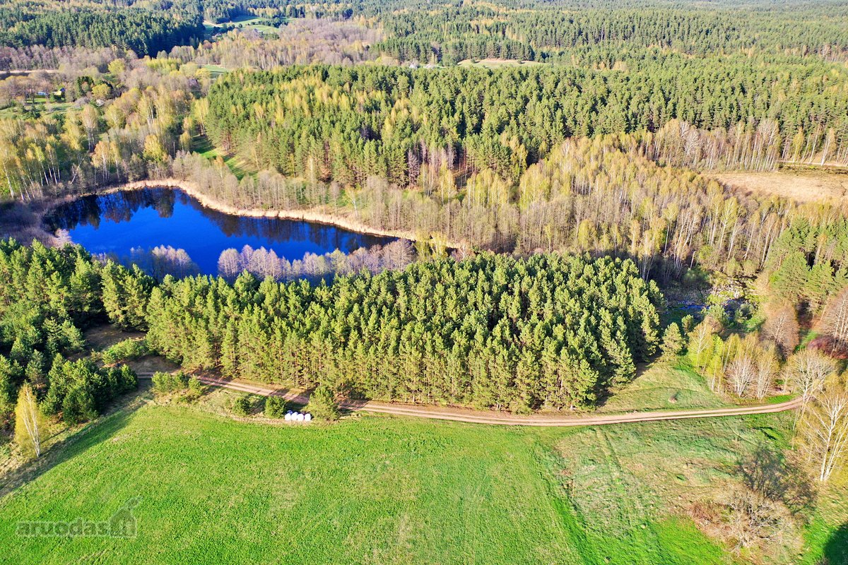 Parduodamas 7,10 Ha Žemės Sklypas Ignalinos - nuotraukos Nr. 14