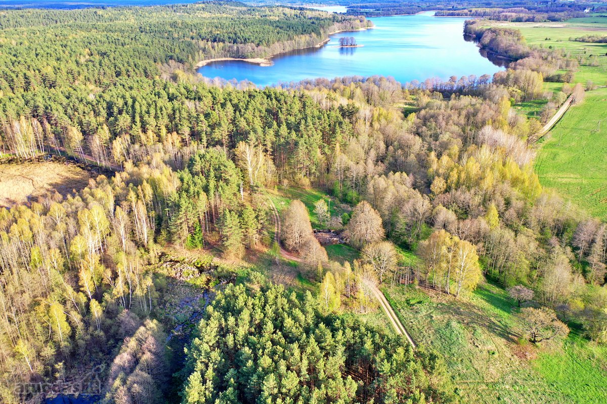 Parduodamas 7,10 Ha Žemės Sklypas Ignalinos - nuotraukos Nr. 24