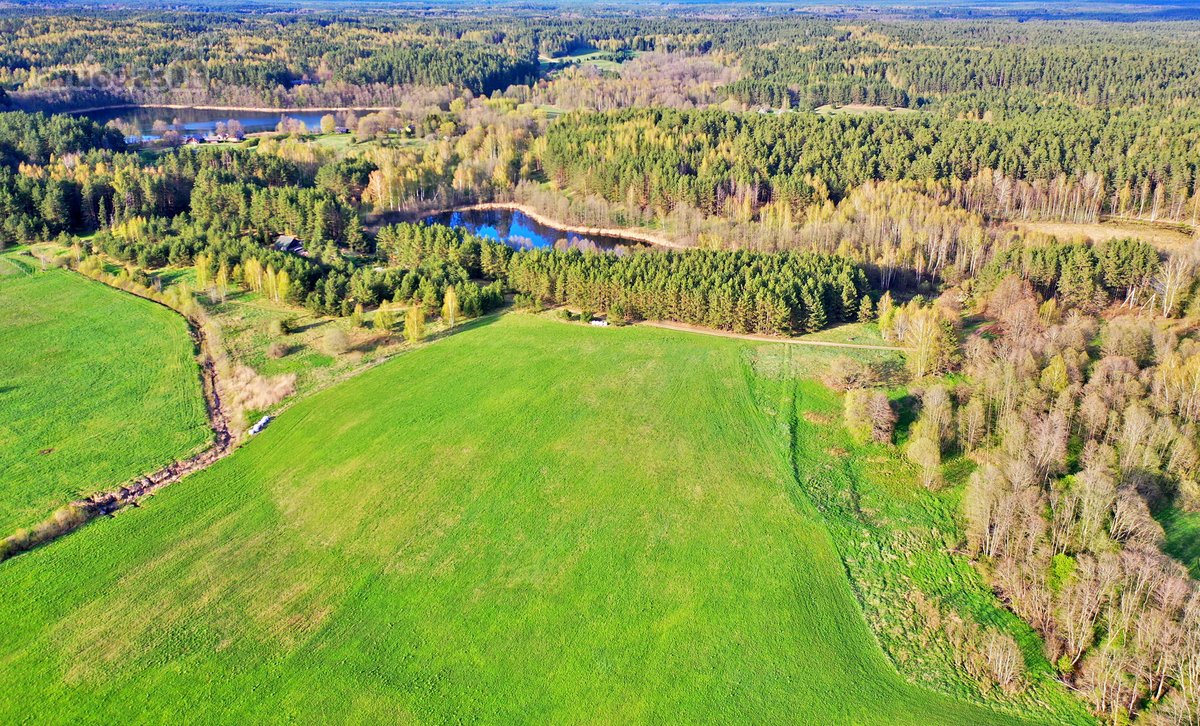 Parduodamas 7,10 Ha Žemės Sklypas Ignalinos - nuotraukos Nr. 25