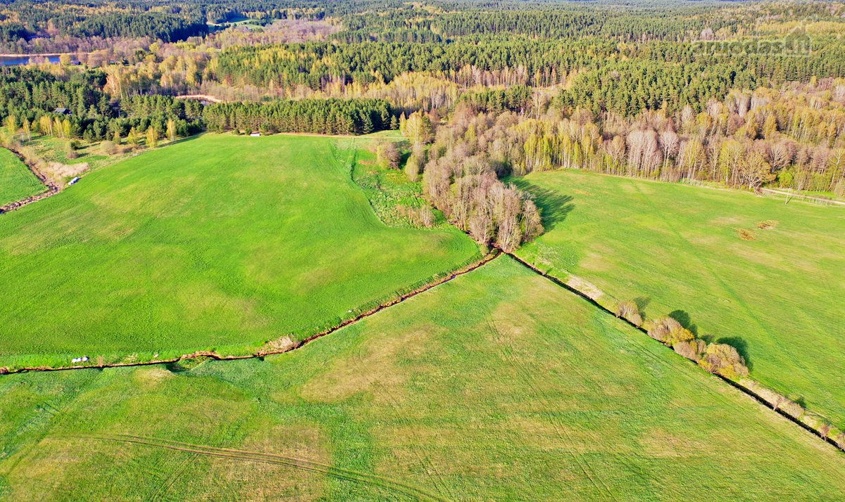 Parduodamas 7,10 Ha Žemės Sklypas Ignalinos - nuotraukos Nr. 27