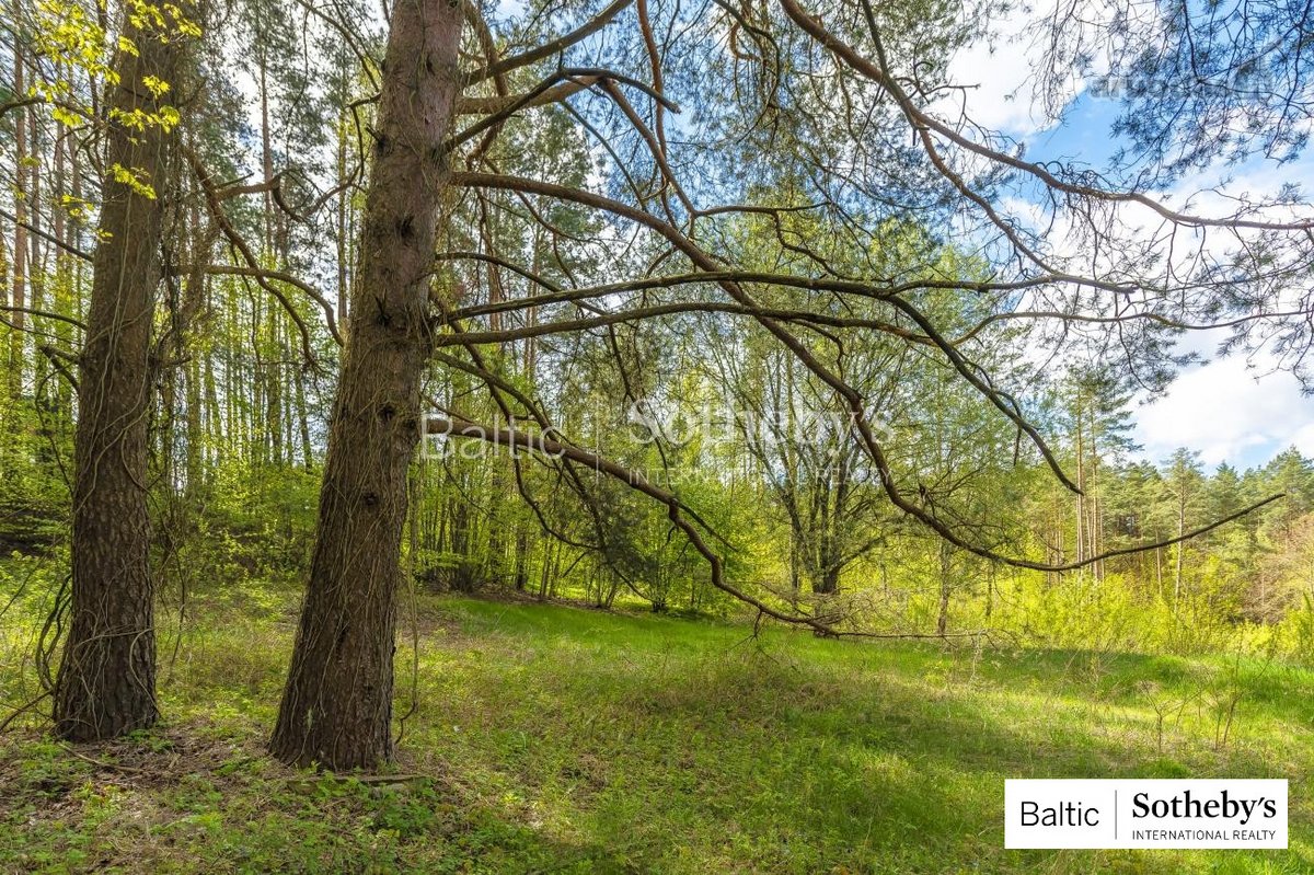 "Sklypas gyvenamajam namui ar naujam - nuotraukos Nr. 5