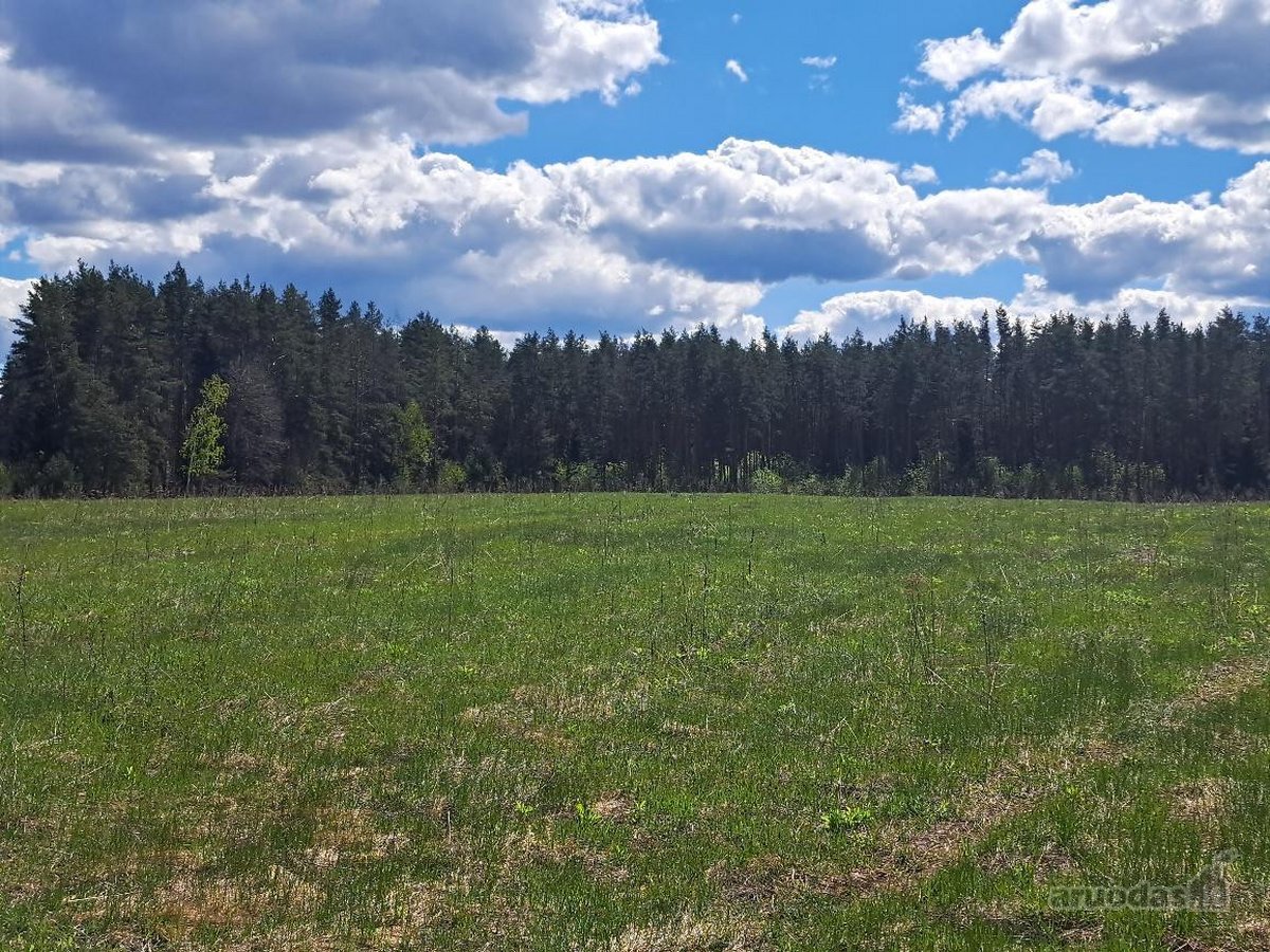 “Tarpupio Oazė“ – naujai besikurianti