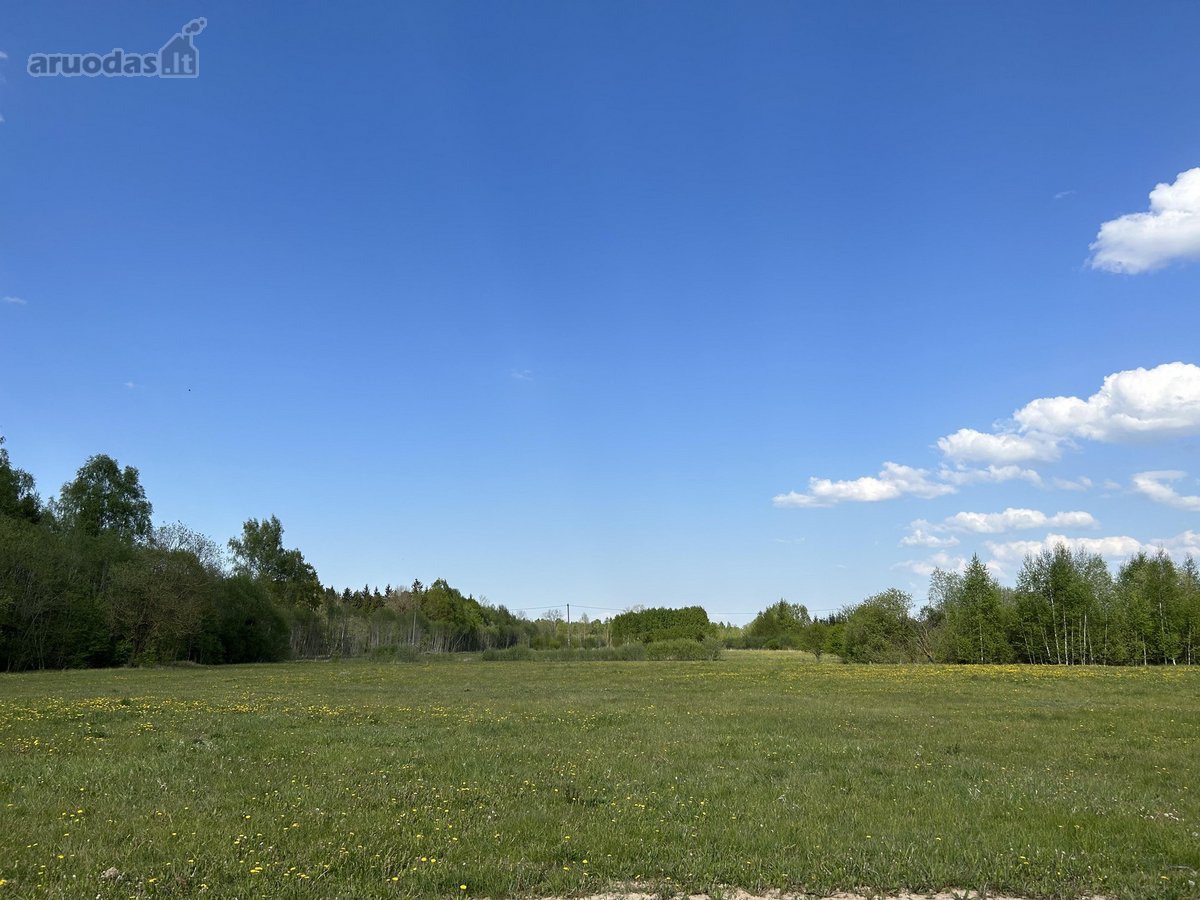 Parduodamas sklypas netoli Šiaulių miesto. - nuotraukos Nr. 5