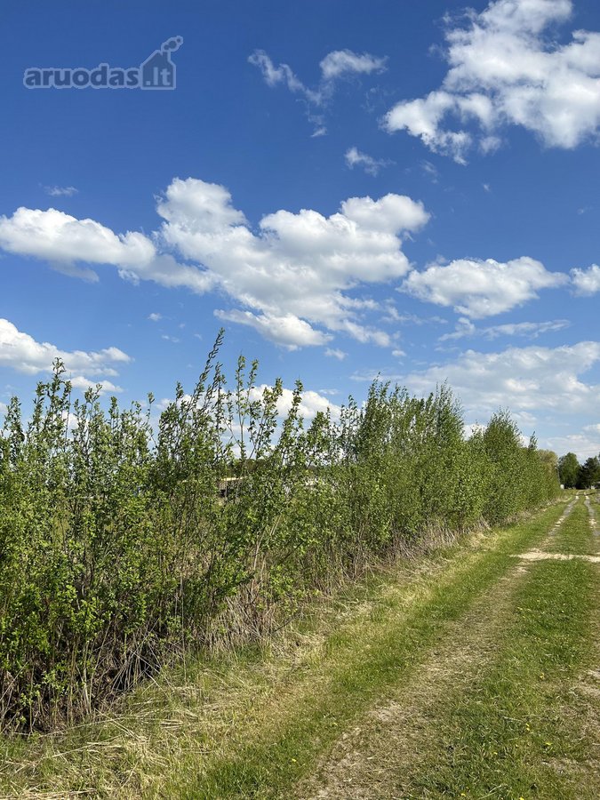 Parduodamas sklypas netoli Šiaulių miesto. - nuotraukos Nr. 6