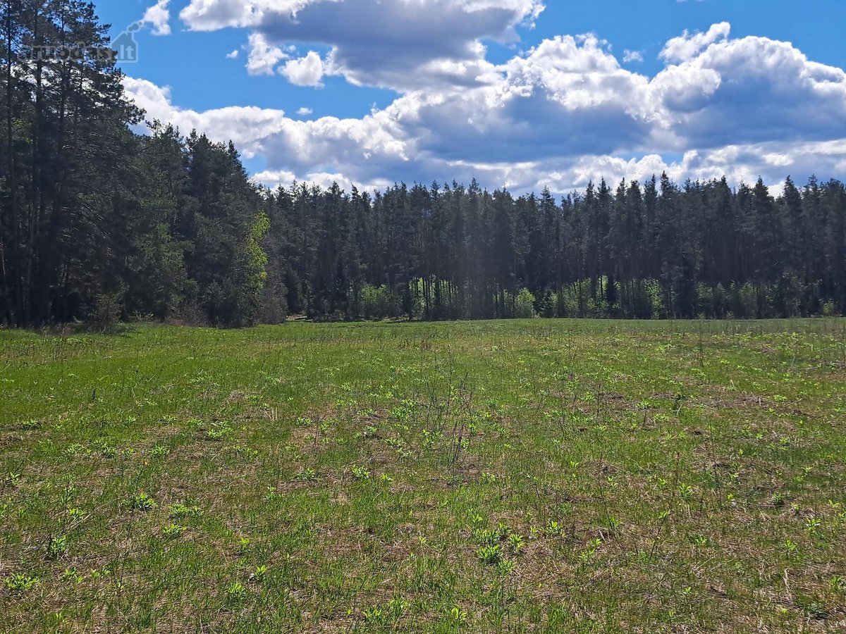 “Tarpupio Oazė“ – naujai besikurianti - nuotraukos Nr. 2