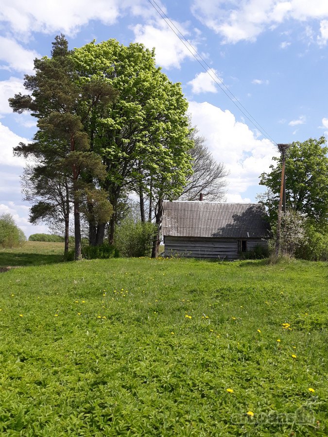 Skubiai Parduodu Sodybą (vienkiemis Pievose) - Skelbiu.lt