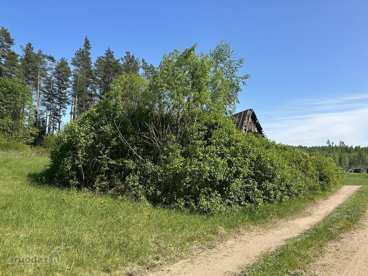Parduodama sodybvietė 14 aru namu valdos - nuotraukos Nr. 4