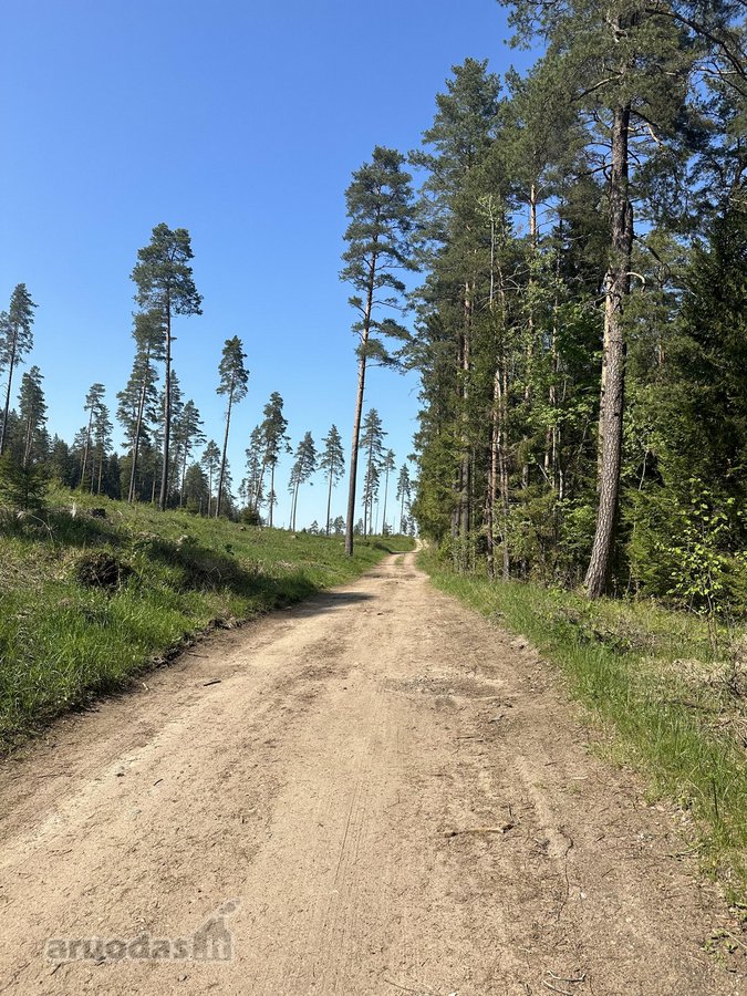 Parduodama sodybvietė 14 aru namu valdos - nuotraukos Nr. 5