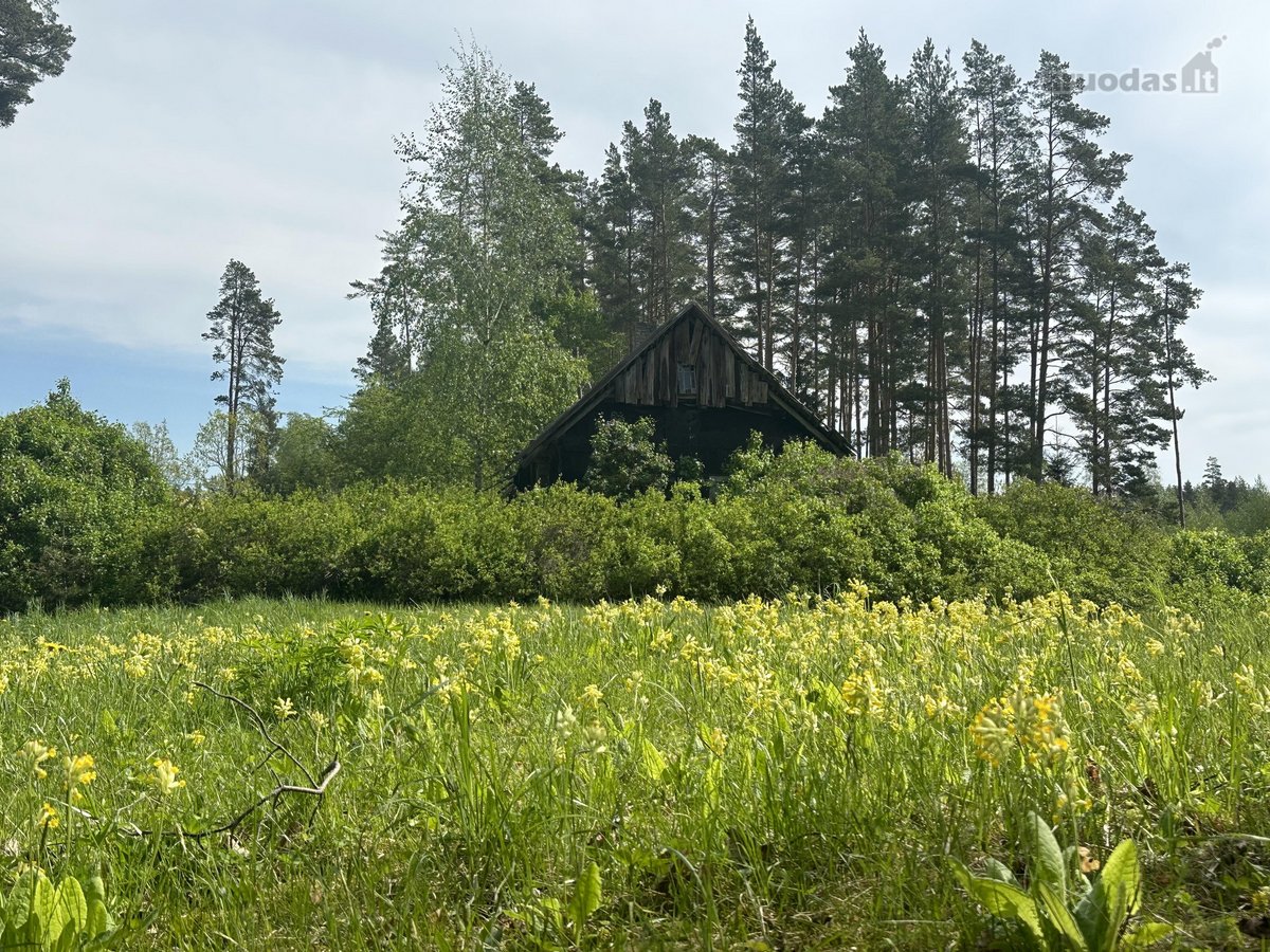 Parduodama sodybvietė 14 aru namu valdos - nuotraukos Nr. 6
