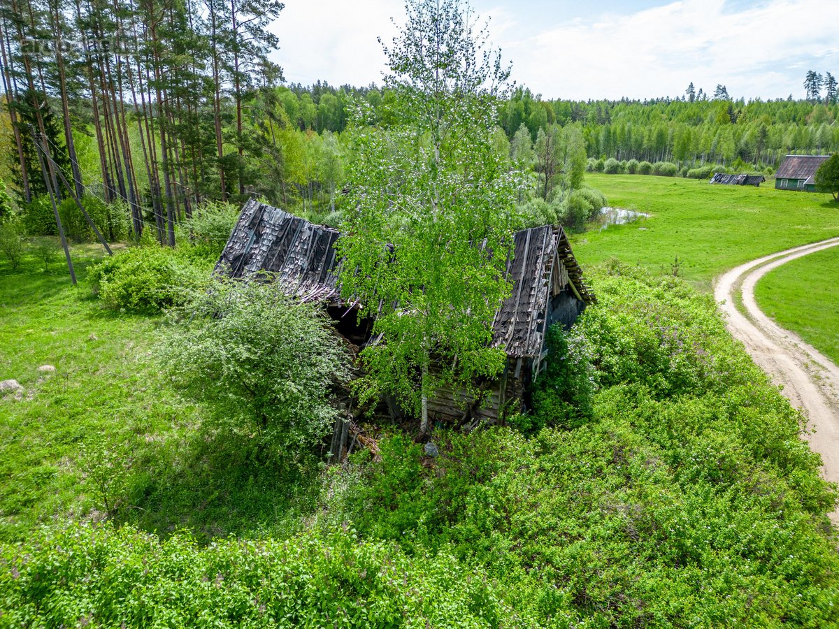 Parduodama sodybvietė 14 aru namu valdos - nuotraukos Nr. 16