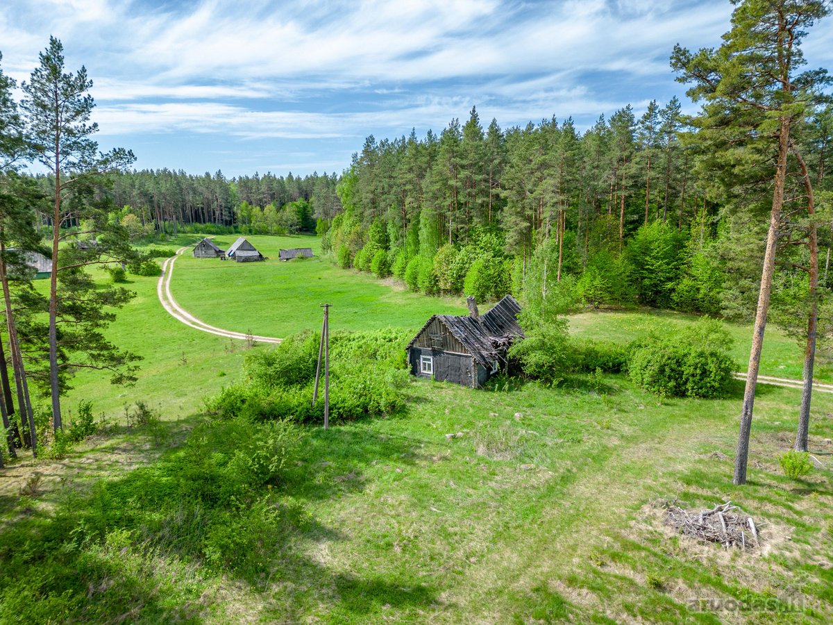 Parduodama sodybvietė 14 aru namu valdos - nuotraukos Nr. 17
