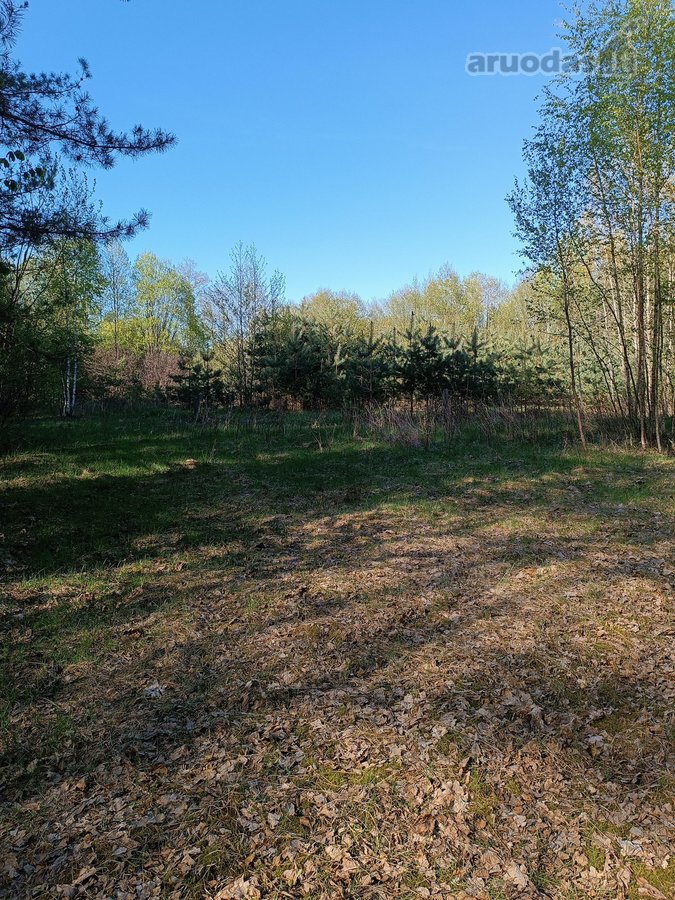 Parduodami greta esantis du žemės sklypai - nuotraukos Nr. 4
