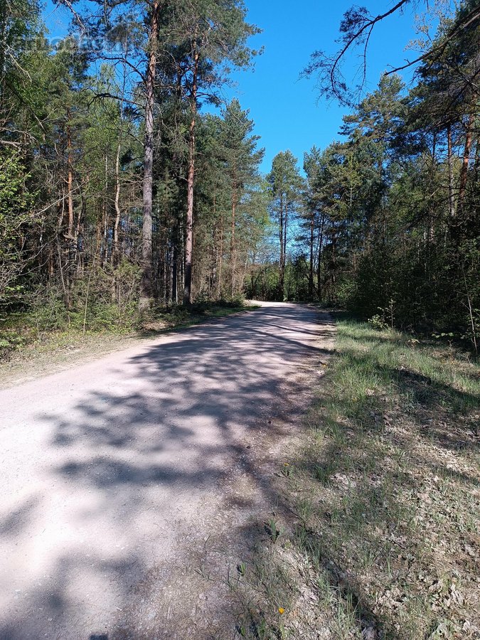 Parduodami greta esantis du žemės sklypai - nuotraukos Nr. 5